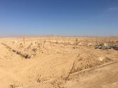  آزادسازی ۹ هکتار از اراضی کشاورزی دهستان کارده شهرستان مشهد