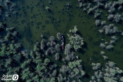 «آبراه کوچکی در میان هور» و تاریخی که هنوز زنده است؛ جدیدترین اثر پایه‌شناس روی پرده جشنواره - سوره سینما