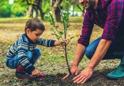 1200 اصله نهال به مناسبت روز مادر در مازندران کاشته شد - تسنیم