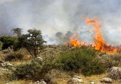 شکارچیان غیرمجاز عامل احتمالی آتش سوزی الیت هستند - تسنیم