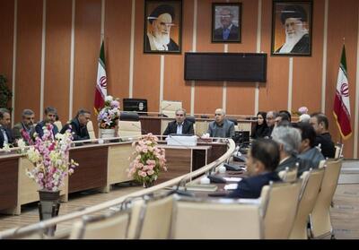 سهم مشاغل خانگی ایوان بیش از سه برابر شد - تسنیم