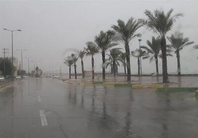 60 میلیمتر بارش باران در شمال استان بوشهر ثبت شد - تسنیم