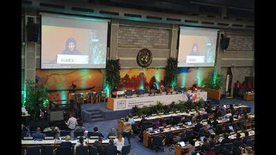 حملات اخیر رژیم صهیونیستی محیط‌زیست ایران را با بحران مواجه کرده است