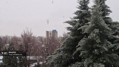  آغاز بارش برف در بام ایران+فیلم