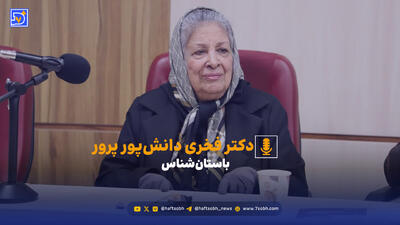 واکنش دکتر دانش پور پرور به نبود نظارت به حفاری های غیر مجاز