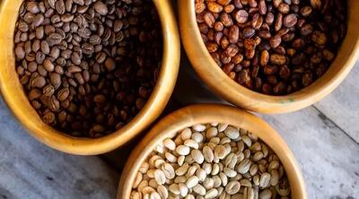 قهوه و دردهای مزمن چه ارتباطی دارند؟ / کشف تاثیر غیرمنتظره نوشیدنی محبوب بر بدن / نتایج شگفت‌انگیز تحقیقات تازه!