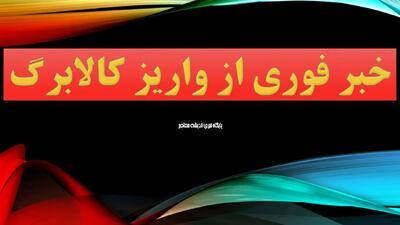 واریز کالابرگ دهک‌های ۴ تا ۷ قطعی شد / زمان‌بندی و جزئیات پرداخت‌ها اعلام شد / جدول کامل و نکات ضروری برای دریافت‌کنندگان!