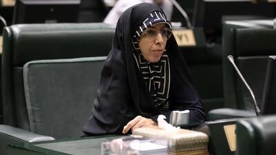 نماینده زن مجلس درباره مصوبه کاهش سقف مهریه: نگاه بسیاری از نمایندگان، حمایت از زنان نیست/ زنان در ازدواج هیچ چتر حمایتی ندارند