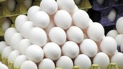 افزایش نجومی قیمت تخم مرغ! قیمت یک شانه تخم مرغ رکورد زد!