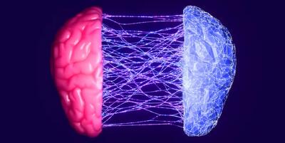 کشف تحول‌آفرین؛ آیا دلیل پیدایش خودآگاهی مشخص شده؟