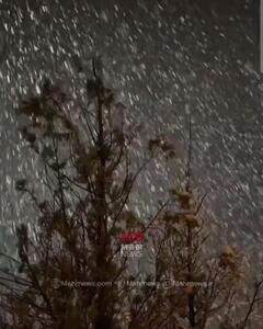 برف سنگین شب گذشته در شمشک