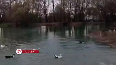 چشمه طاق‌بستان جوشید