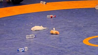 حواشی عجیب و زشت فینال لیگ برتر کشتی