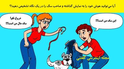  آیا می‌توانید هوش خود را به نمایش گذاشته و صاحب سگ را در یک نگاه تشخیص دهید!؟
