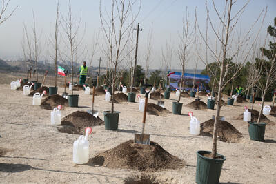 پویش در سایه مادر در بوستان فاطمی تهران