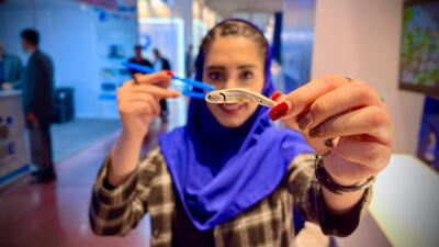 راز گرانی غذاهای دریایی؛از سوشی تا لابستر