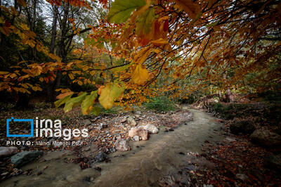خزان را با روایت محسن چاوشی، رضا صادقی و سیروان خسروی بشنویم