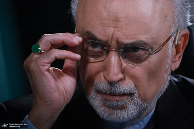  رضا نصری: ایران برای پیگیری منافع ملی خود نیازمند رویکردی تازه در دیپلماسی منطقه‌ای است/ علی‌اکبر صالحی برجسته‌ترین و شایسته‌ترین گزینه نه برای مدیریت یک سفارتخانه، بلکه برای عهده‌دار شدن سمت پیشنهادی «نماینده ویژه جمهوری اسلامی ایران در جهان عرب» است