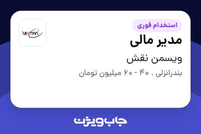  استخدام مدیر مالی در ویسمن نقش