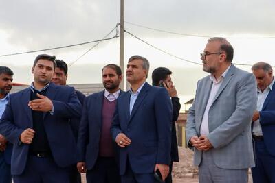  ضرب الاجل یک ماهه دادستان کرمان برای ساماندهی مراکز فروش دام  زنده در ورودی‌های شهر