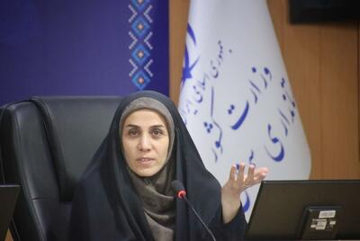  مدیرکل دفتر امور بانوان و خانواده استانداری: مادر باردار زندانی با پیگیری دفتر امور بانوان و همراهی خیران آزاد شد