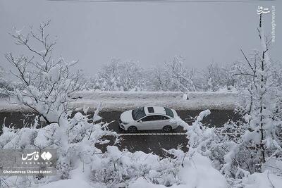  فیلم/ محدودیت‌های ترافیکی در جاده‌های شمالی