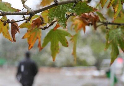 هواشناسی ایران ۱۴۰۴/۹/۲۱؛ تداوم بارش‌ها در اغلب مناطق/ ورود سامانه جدید از سه‌شنبه