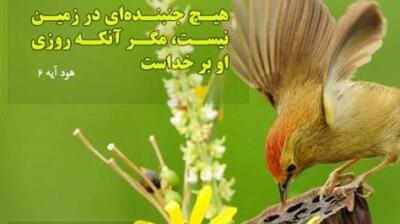 میگنا - فقر و رازقیت خداوند