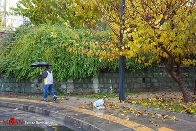 کیفیت هوای پایتخت ۲۱ آذر ۱۴۰۴؛ شاخص آلودگی ۸۵ و در وضعیت «قابل قبول»