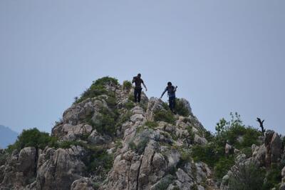 روایت یک جنگل زخمی