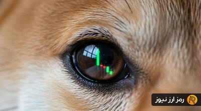 بیداری غول خفته؛ دوج‌ کوین برای سومین رشد تاریخی آماده شده؟