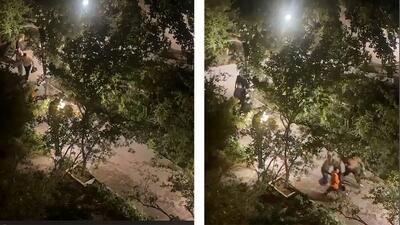 بازداشت 13 مرد مست به خاطر قتل در پارک اناران تهران