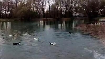  فیلم طاق بستان با چشمه جوشان دوباره زنده شد