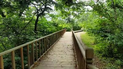  پارک ملی بوجاق، کیاشهر گیلان + فیلم