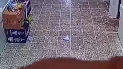  سیل ناگهانی در مدرسه ای در عراق