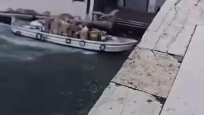  در ونیز، زنی تلاش کرد قایقی پر از بسته‌های پستی را بدزدد، اما هنگام حرکت با سرعت زیاد در امتداد کانال، کنترل خود را از دست داد