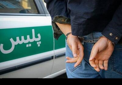 ضربه اطلاعاتی پلیس لرستان به شبکه‌های مواد مخدر، سارقان و عاملان نزاع خیابانی - تسنیم