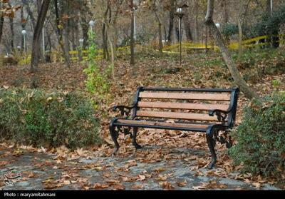 بهکده رضوی با 21.7 میلی‌متر پربارش‌ترین نقطه خراسان شمالی شد - تسنیم