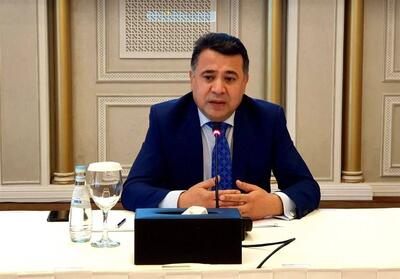 سفر یک مقام وزارت خارجه تاجیکستان به تهران - تسنیم