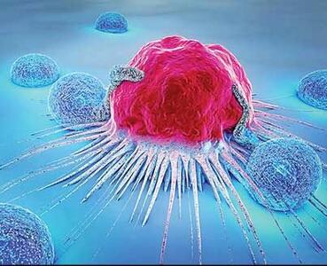 110 چای‌خانه در تهران؛ حجمی زمخت بر تن اندک فضای سبز شهر