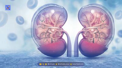  این داروها می‌توانند باعث نارسایی کلیه شوند؛ مراقب باشید/ علائم نارسایی کلیه