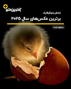  عکس/ برترین عکس های نشنال جئوگرافیک در سال 2025