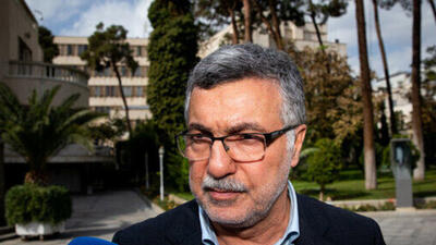  ظفرقندی: در پیک آنفولانزا هستیم