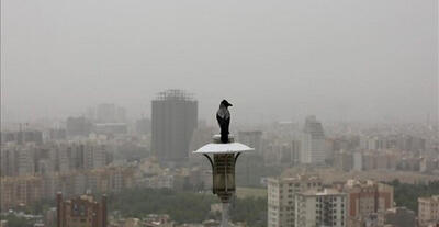 راه‌های ارتقای «کیفیت زندگی» برای ایرانیان