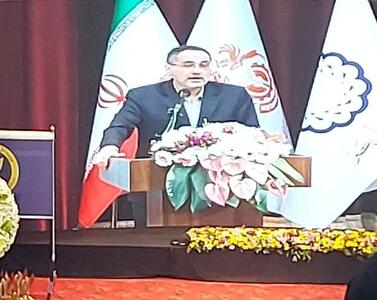 ایران در آستانه گام دوم توسعه صنعت مس قرار دارد