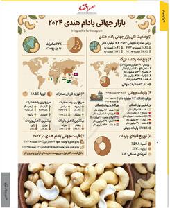 بازار جهانی بادام هندی 2024 /اینفوگرافی