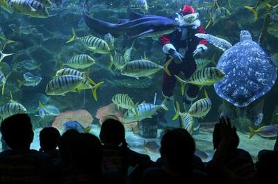  دیدنی های امروز؛ از انتشار عکس های جدید   جفری اپستین  تا ابراز تسلیت رهبر کره شمالی