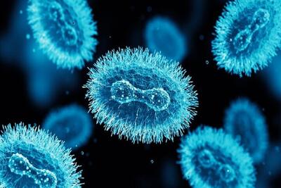 هوش مصنوعی راز آسیب‌پذیری آبله میمونی را فاش کرد