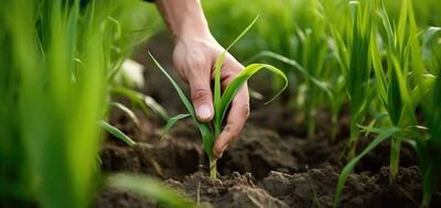 وقتی نوآوری این بانک به نجات کشاورزی می‌آید