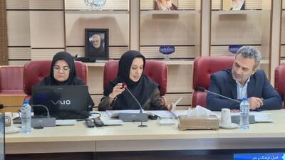  پرداخت سهم نیم درصد شهرداری ها به کتابخانه ها ضروری است